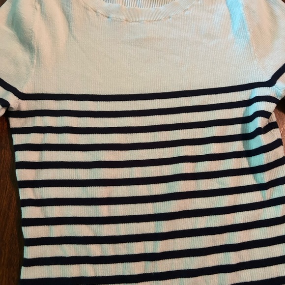 Aritzia Babaton LEAGUE SWEATER Linda Stripe - Picture 5 of 5